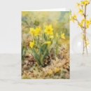 Search for wild style cards Floral