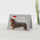 Search for wired cards Dachshund