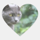 Search for veterinarian stickers Cat