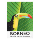 Search for borneo posters Cartoon