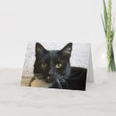 Search for lillies cards Black