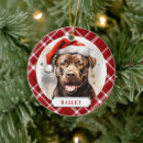 Search for staffordshire bull terrier christmas tree decorations Puppy