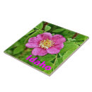 Search for floras tiles Plants