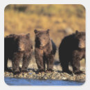 Search for omnivore stickers Park