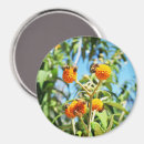 Search for pollinating magnets Flowers