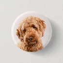 Search for goldendoodle badges Animal