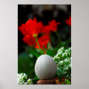 Search for spring time posters Flowers