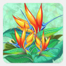 Search for bird of paradise stickers Floral