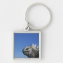Search for iguana key rings Wildlife