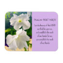 Search for flower magnets Purple