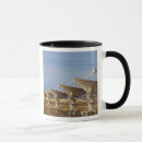 Search for chuck mugs Usa