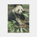 Search for panda bear blankets Bears
