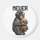 Search for resilience magnets Motivation
