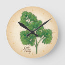 Search for herb clocks Garden