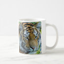 Search for siberian tiger mugs Cats