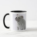 Search for english bulldog mugs White