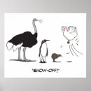 Search for kiwi bird posters Funny