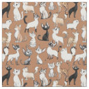 Search for funny cat fabric Black