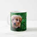 Search for adorable puppy mugs Dogs