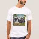 Search for cassowary Ostrich