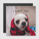 Search for i love chihuahuas cards Cute