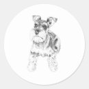 Search for mini schnauzer stickers Miniature