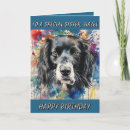 Search for cat person cards Pet