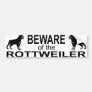 Search for rotty bumper stickers Puppy