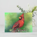 Search for red cardinal birthday cards Bird