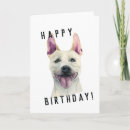 Search for staffordshire bull terrier birthday cards Dogs