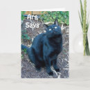 Search for arg Cat