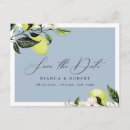 Search for lemon save the dates Mediterranean