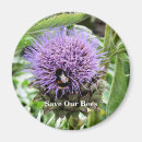 Search for bee magnets Flowers