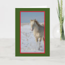 Search for white stallion cards Mustang