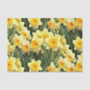 Search for yellow daffodil tissue paper Floral