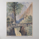 Search for colonisation Colonies