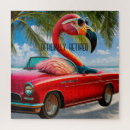 Search for flamingo retirement Beach