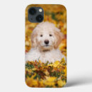Search for cute animals ipad cases Puppy