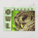 Search for hoot postcards Owl