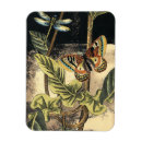 Search for scenes magnets Animals