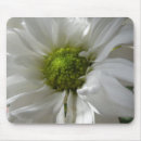 Search for chrysanthemums mousepads Flowers
