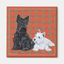 Search for scotty magnets Pets