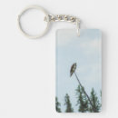Search for ospreys key rings Wildlife