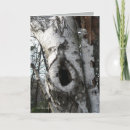 Search for birch tree bark cards Nature