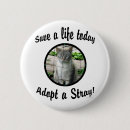 Search for stray badges Animals