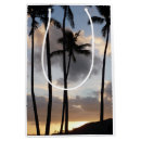 Search for palm tree gift bags Hawaii