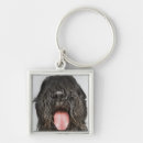 Search for one people key rings Studio shot