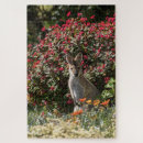 Search for kangaroo puzzles Animals