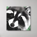 Search for racoon art Animals