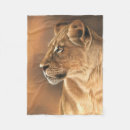 Search for lioness blankets Wildlife